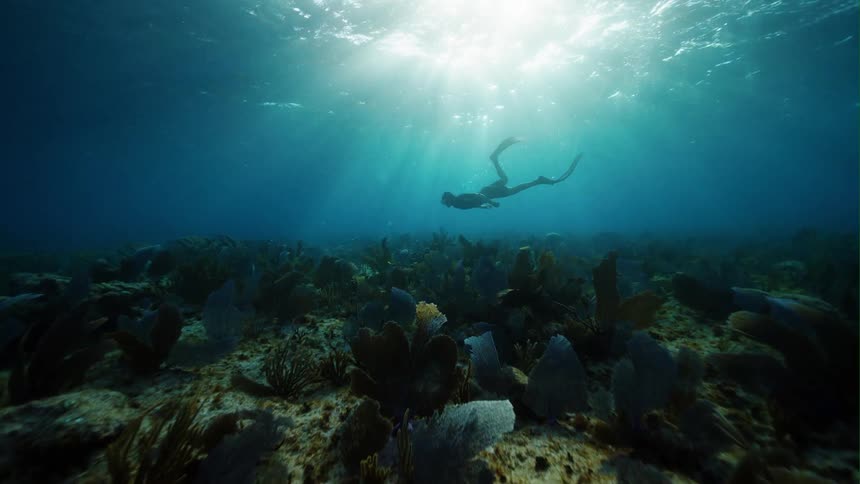 A diver swims underwater near the sea floor during the day