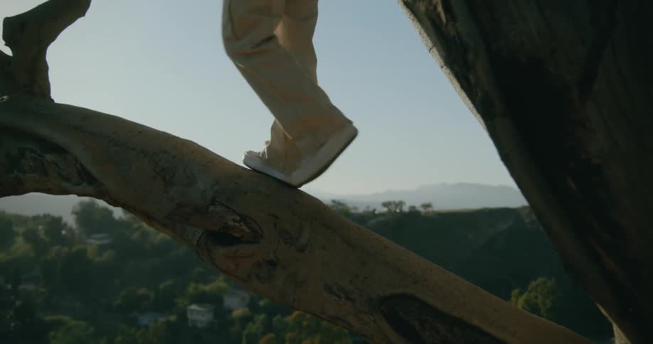 A person carefully climbs out on the branch