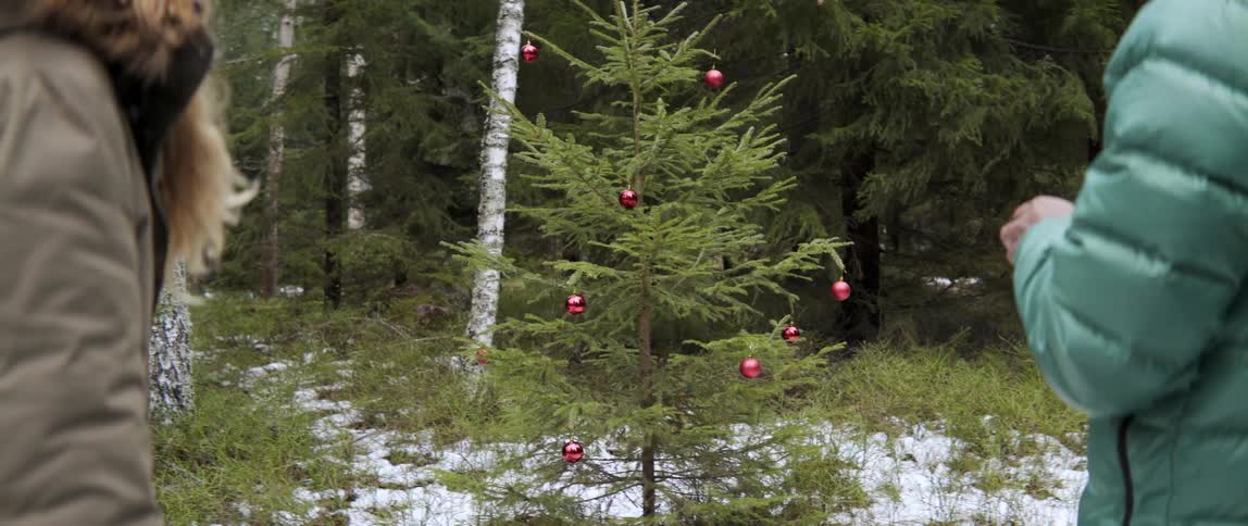 People stand near a small pine tree with red ornaments on it in an outdoor area