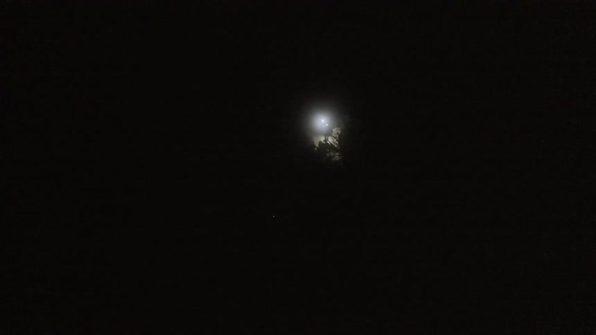 Bright light illuminates darkness surrounding person moving among trees at night