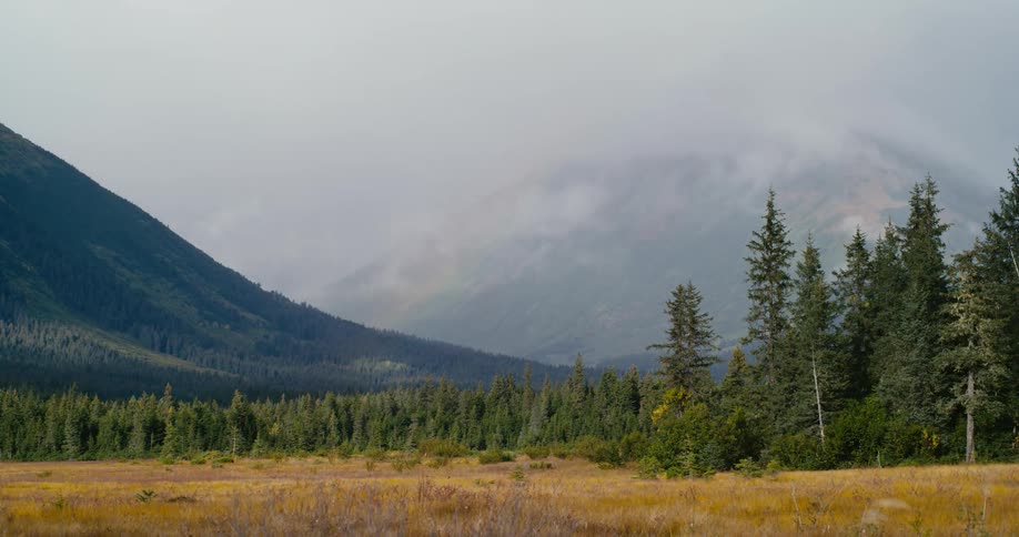 A rainbow stretches over trees and comes down in front of a mountain and there is another mountain in the distance