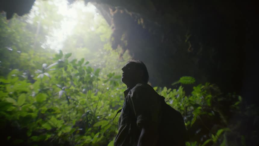 A man looks around the forest