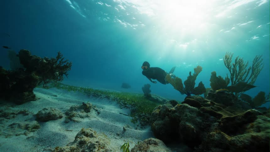 A free diver in long fins swims near the ocean bottom