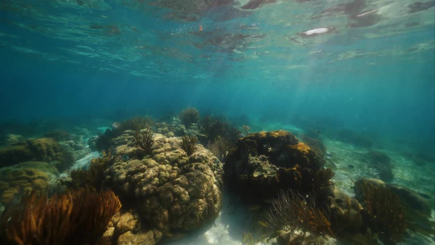 Beams of sunlight shine onto the bottom of the ocean