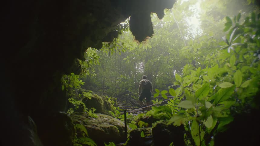 Male hiker climbs stone steps on path through forest