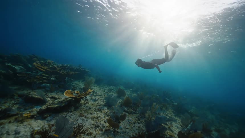 A free diver wearing long fins and a snorkel swims away from the bright surface toward the ocean floor