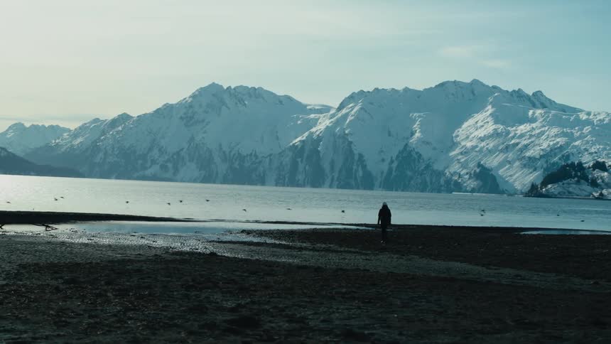 A flock of birds takes flight as a person walks along the shoreline of a mountain lake