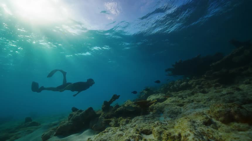 A diver is swimming with the fish