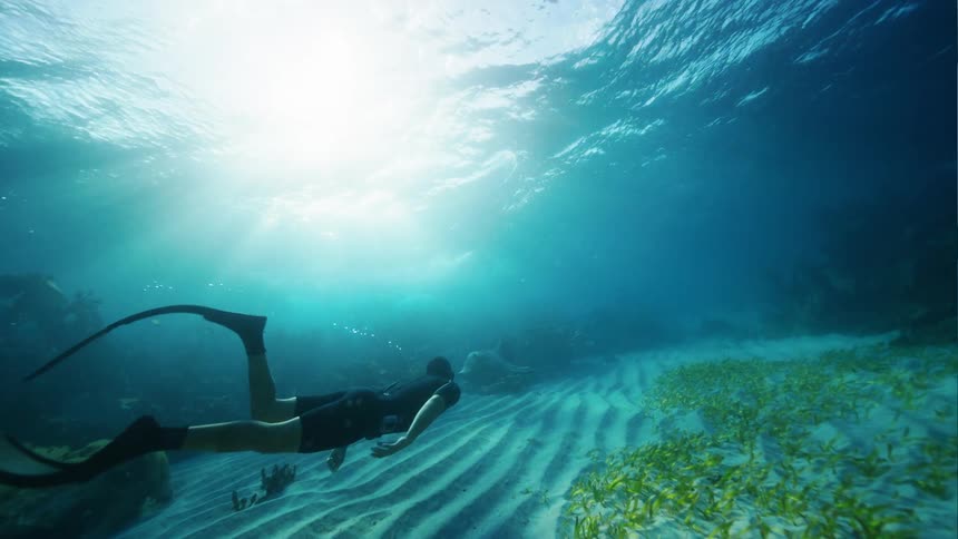 Man snorkels swimming just above seafloor while following sea life