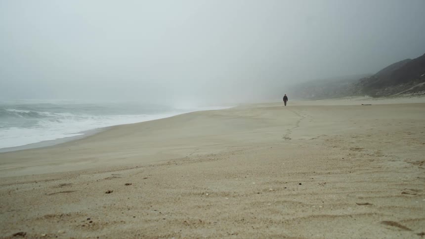 A man walks on the beach along the shore