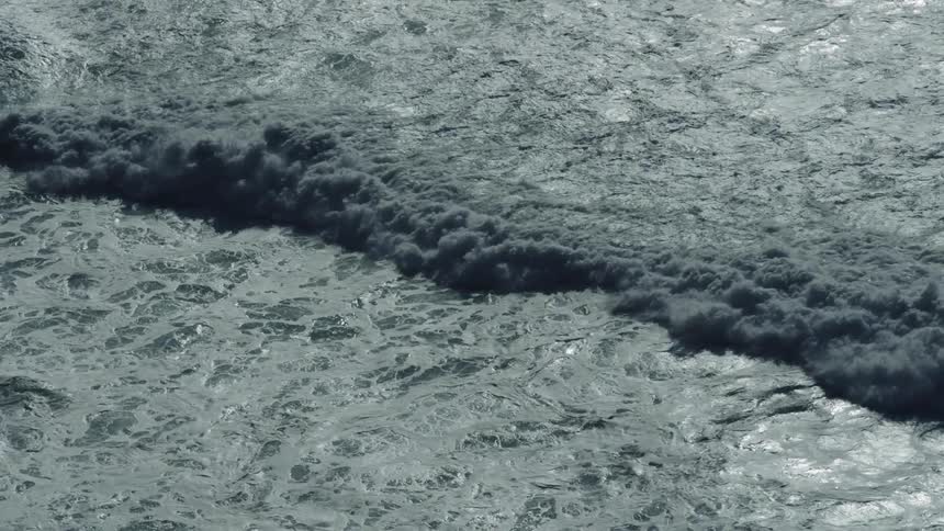 Sunlight reflects on the water as waves roll into shore