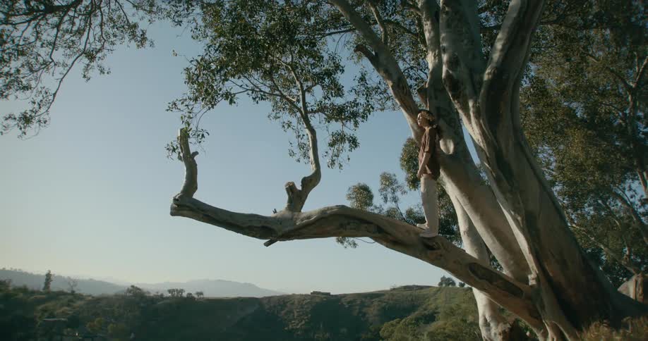 A teenage girl stands on a tree limb up in a tree and looks over the landscape