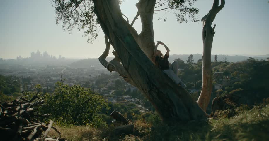 A man takes a selfie while sitting in a tree in a forest across from downtown