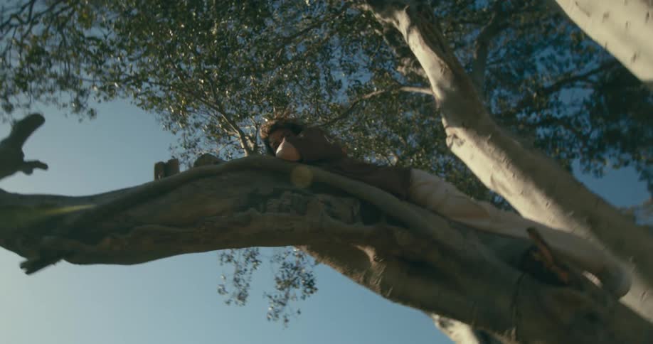 A woman is laying on the high branch