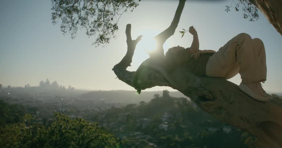 Woman reclines on large tree branch with city skyline on the horizon