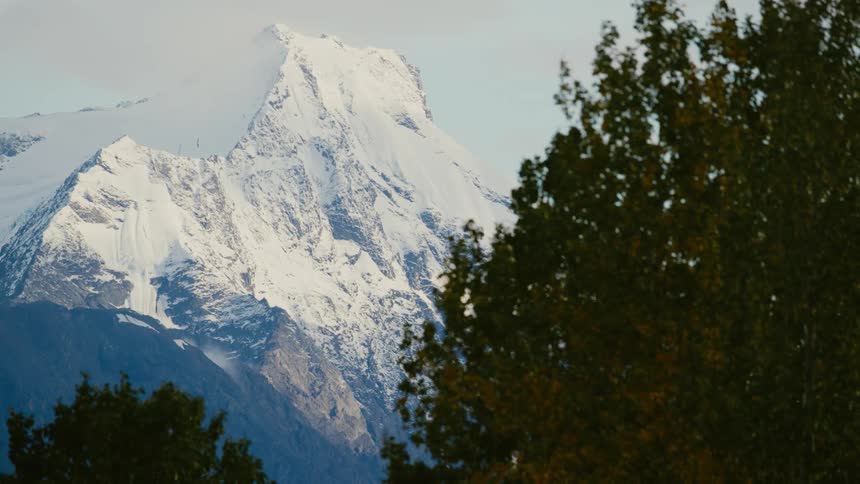 A distant snow capped mountain looms over a pair trees on a sunny day