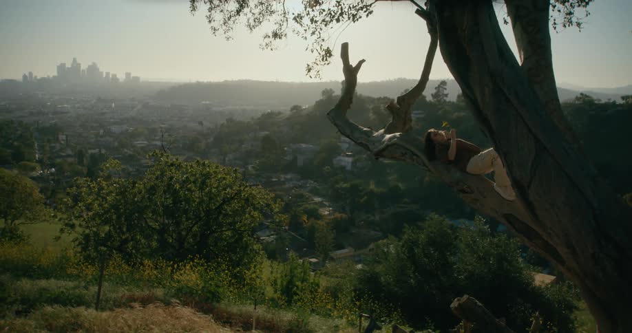A woman rests on a large branch in a tree on a hillside outside a city during the day