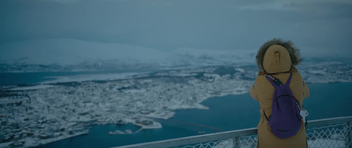 A person stands against a railing and looks out across the water and snow covered land