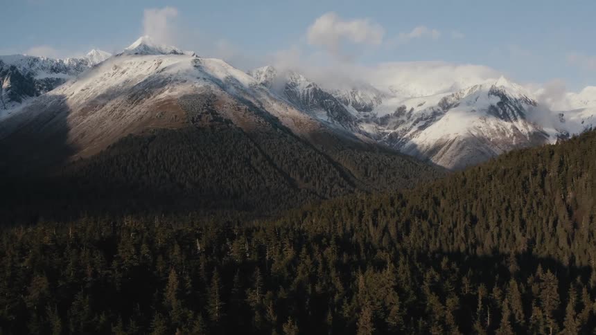 Thick forest growth covers the lower elevation of a mountain range and snow tops the peaks