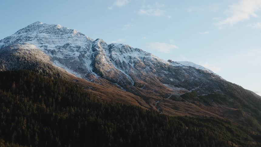 A forest on the slope of a snow capped mountain on a sunny day