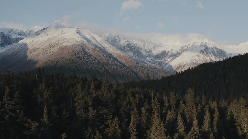 Snow capped mountains loom over a vast countryside covered in forest during the day