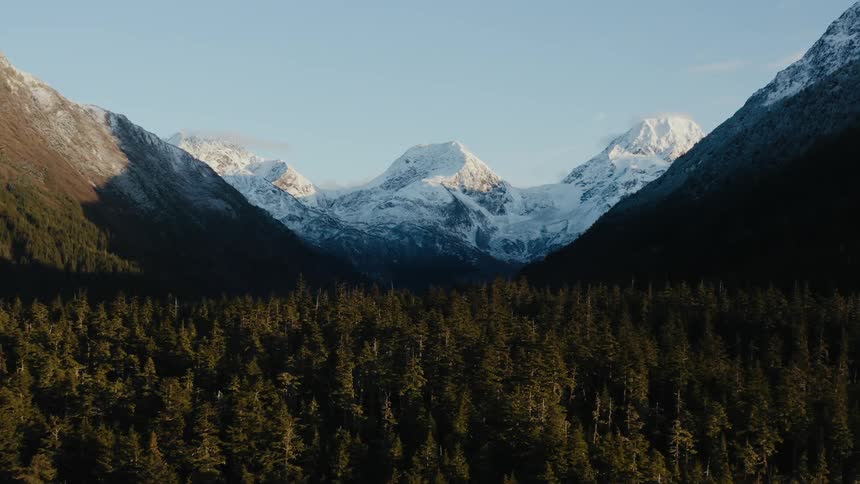 A forest filled with trees in the valley and snow covered mountains in the distance