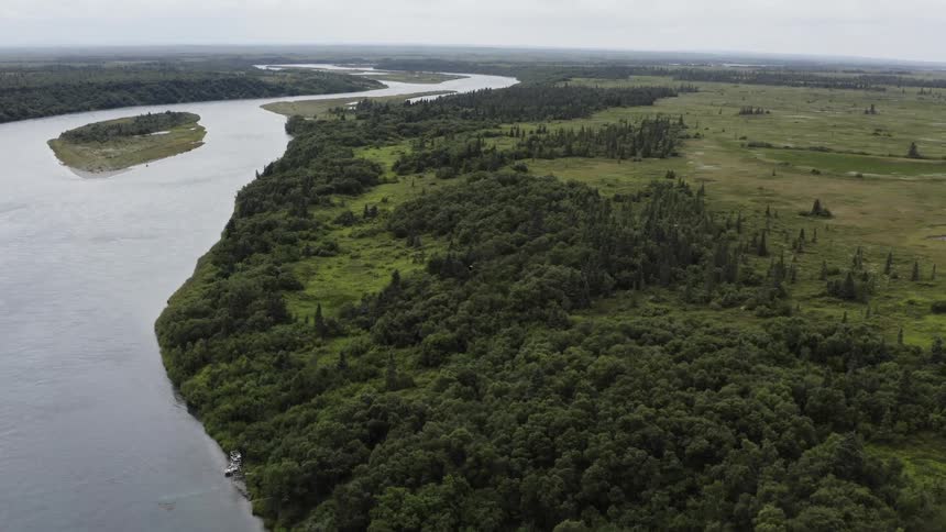 Dense vegetation on the edge of a river through a grassland during the day