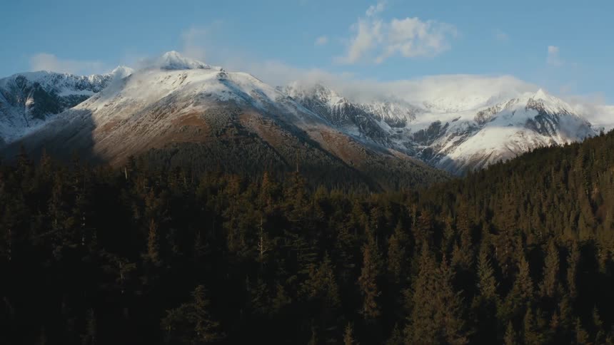A forest in front of a mountain range