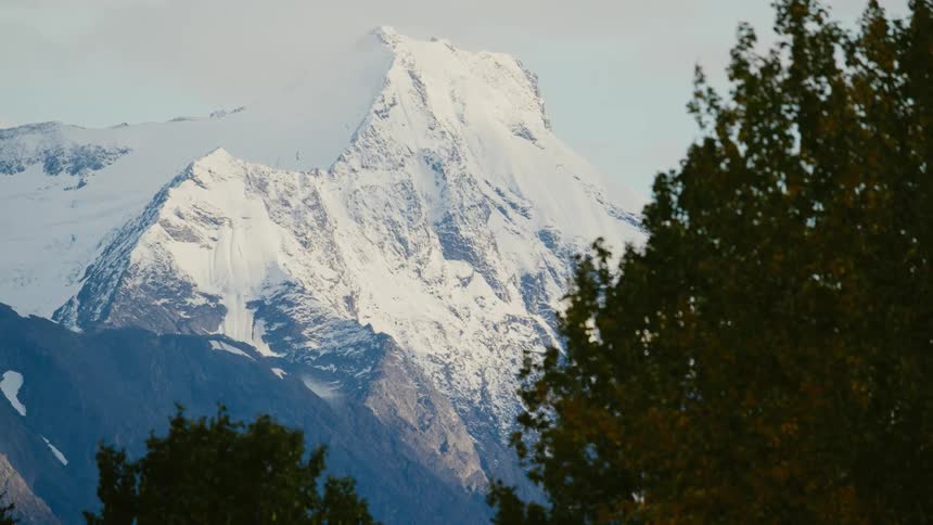 Trees move in the wind and there are snow covered mountains in the distance