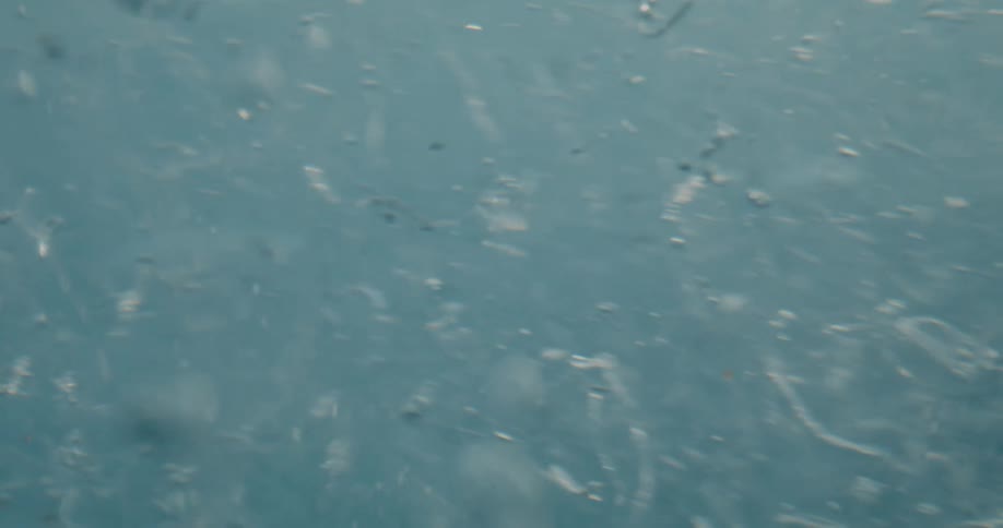 The debris is floating in the water
