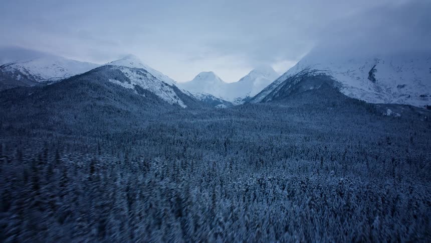 A forest of snow covered trees and snow covered mountains in the distance under a cloudy sky