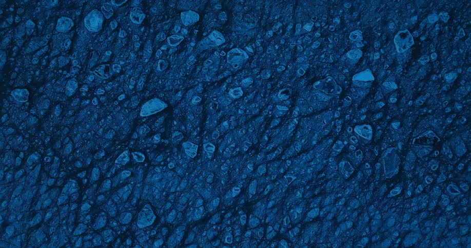Bumps and ridges that look like cells are colored blue