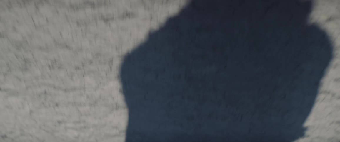 The shadow of a person as they walk across a desert