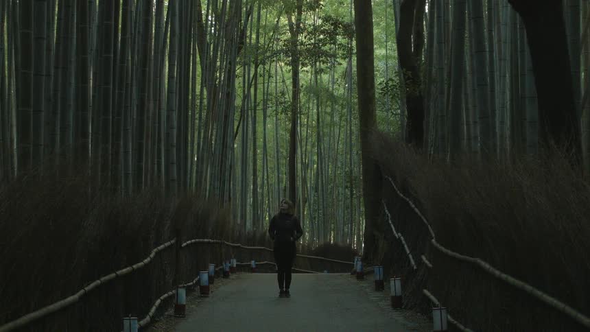 A woman walks down a path in a forest and looks up at the trees around her