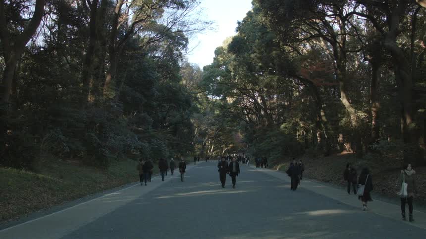 Pedestrians walk along a tree-lined street