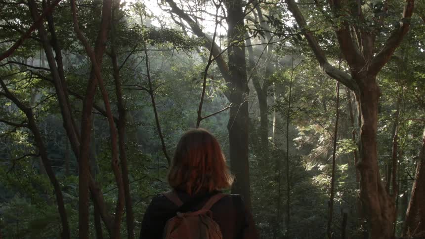 A woman stands in a forest