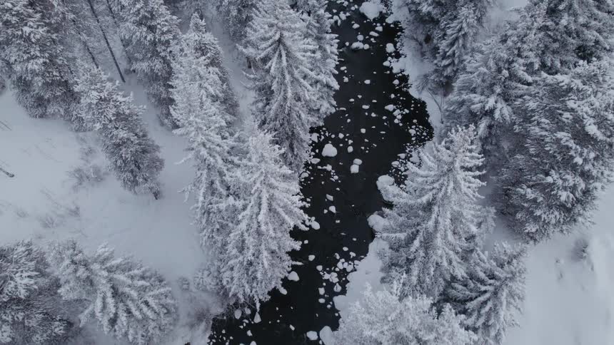 An icy river flowing through pine trees in a snowy forest