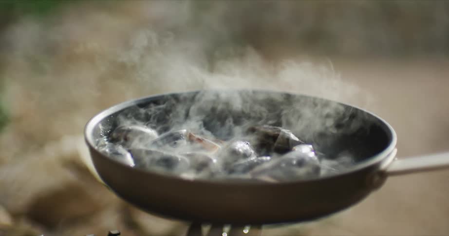 Person cooks mussels in skillet outdoors