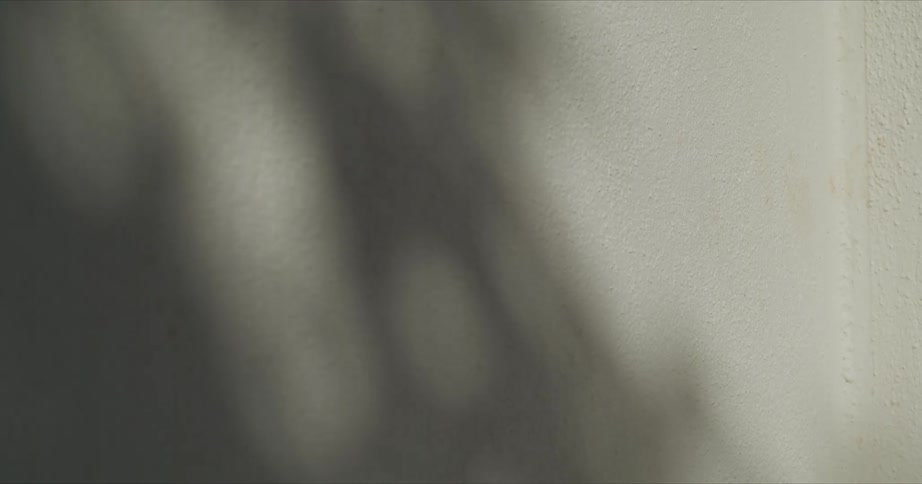 Shadow on wall swaying in the breeze