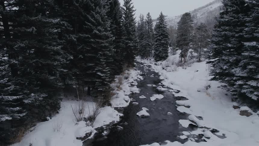 A winter view of a river and snow covering the whole area