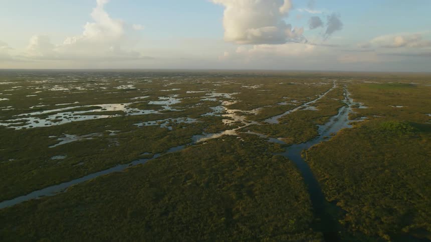 A vast marshland under a daytime sky