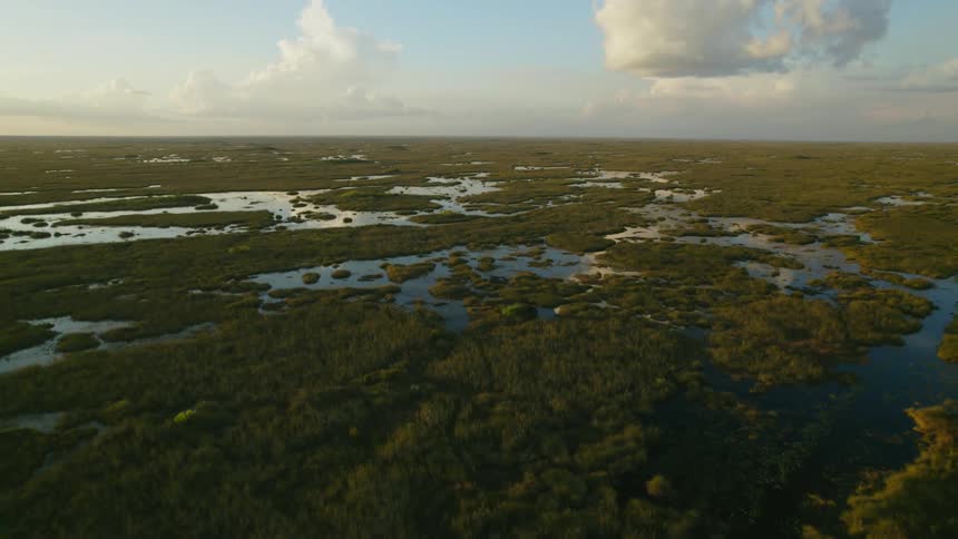 Aerial view of marsh and grassland is displayed at dusk