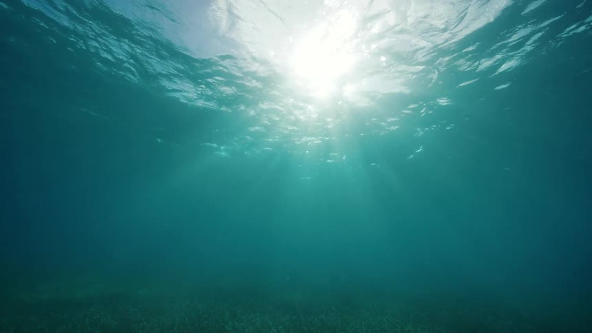 Sun shines from above into murky water over seafloor