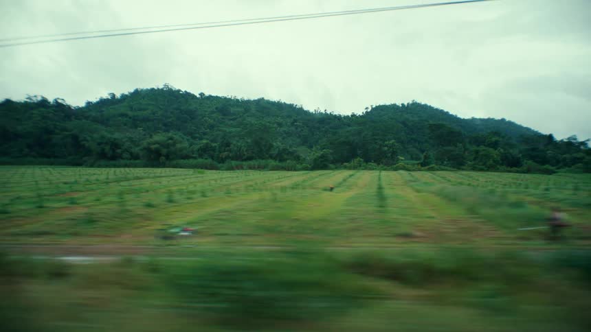 Farm land during the spring time