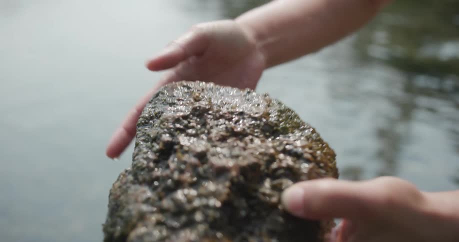 A child is standing over water holding a wet rock in both hands