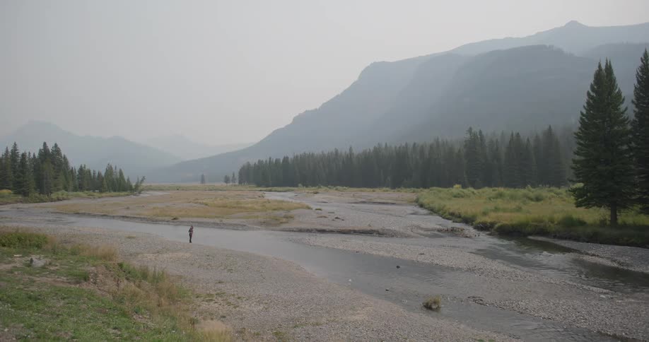 A lone person fishing on a river surrounded by pine trees and mountains