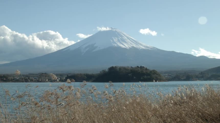 Grass sways in the wind with a mountain in the background