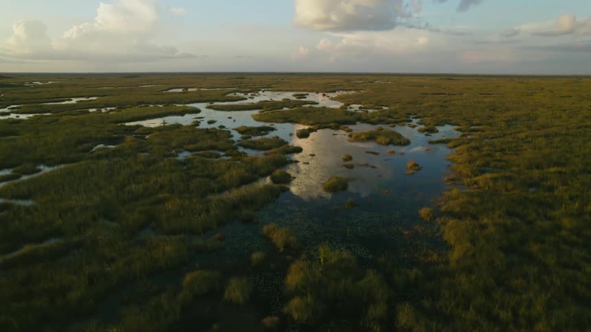 Water swamp reflects the cloudy sky