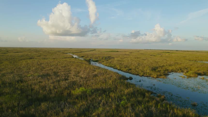 Grass and a pond is displayed outdoors during spring