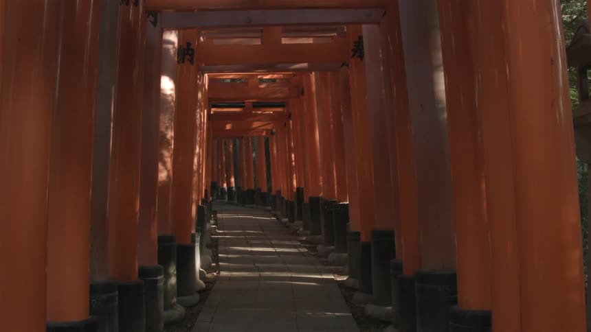 A pathway surrounded by orange pipes